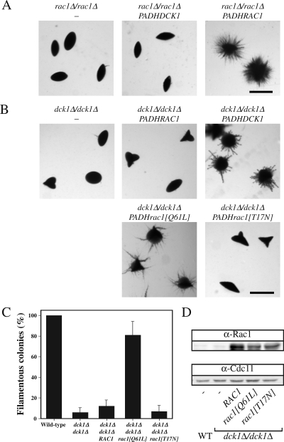 Figure 10.