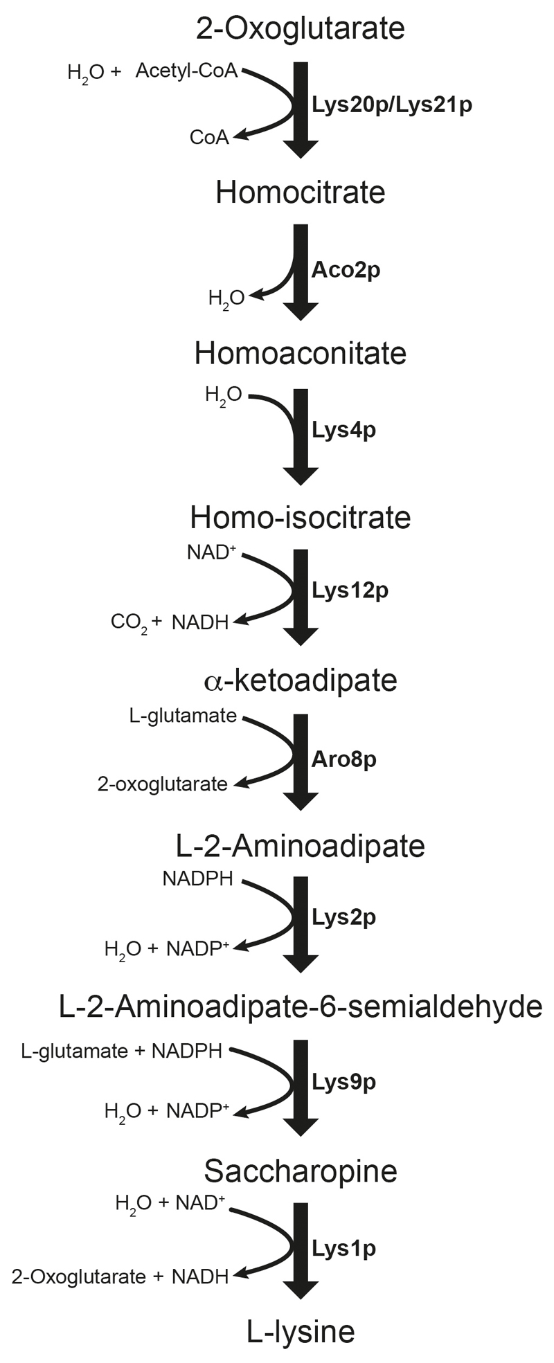 Extended data Figure 2