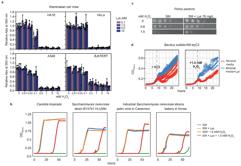 Extended data Figure 7