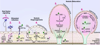 Figure 6.