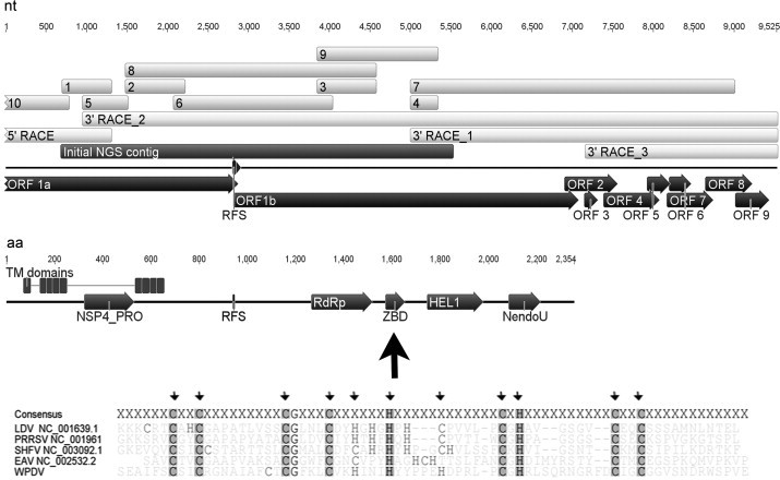 Fig. 1