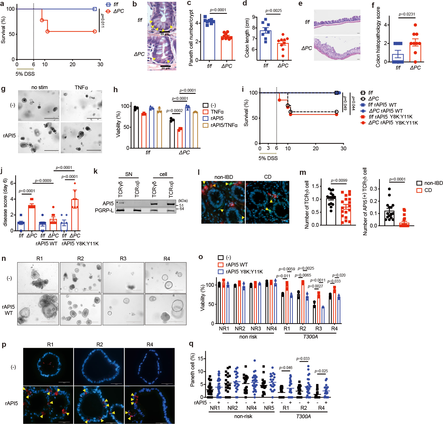 Fig. 4 |