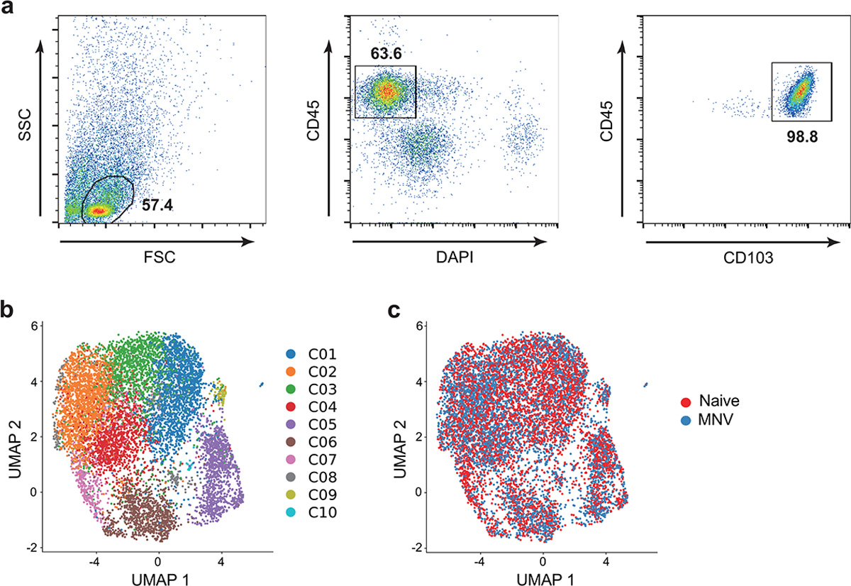 Extended Data Fig. 3 |