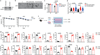 Extended Data Fig. 4 |