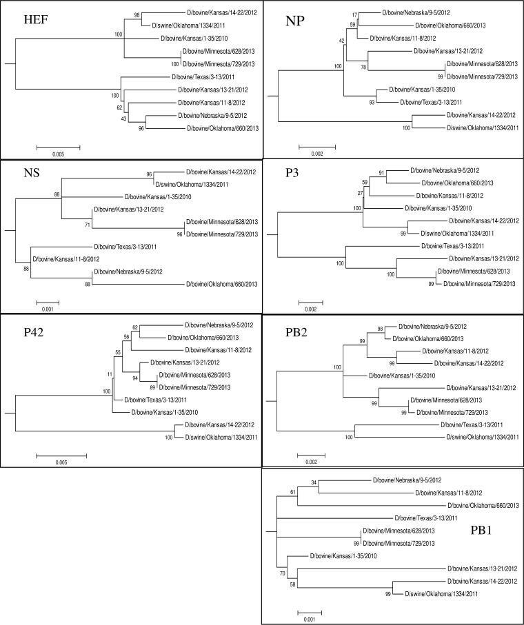 FIG 1