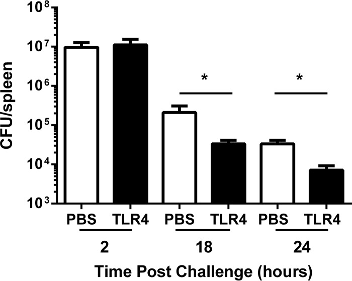 FIG 3