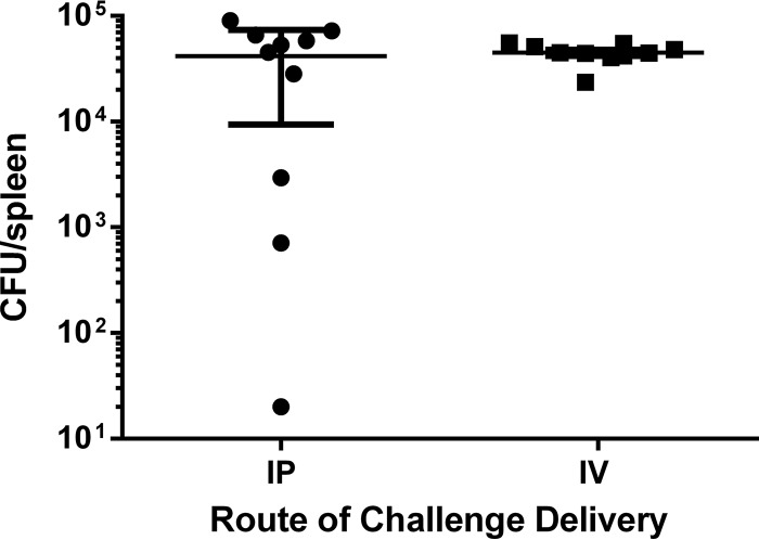 FIG 1