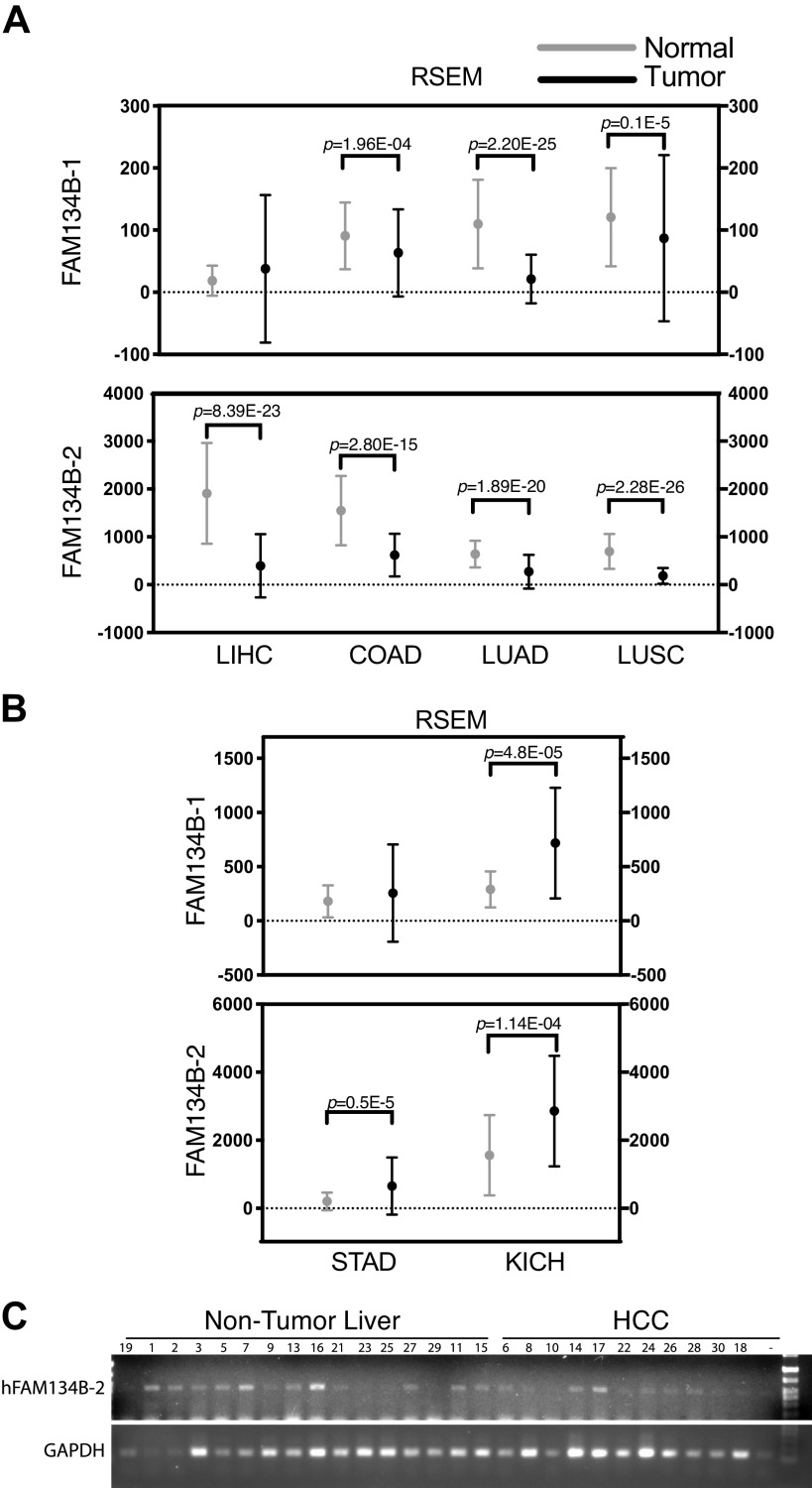 Fig. 11.