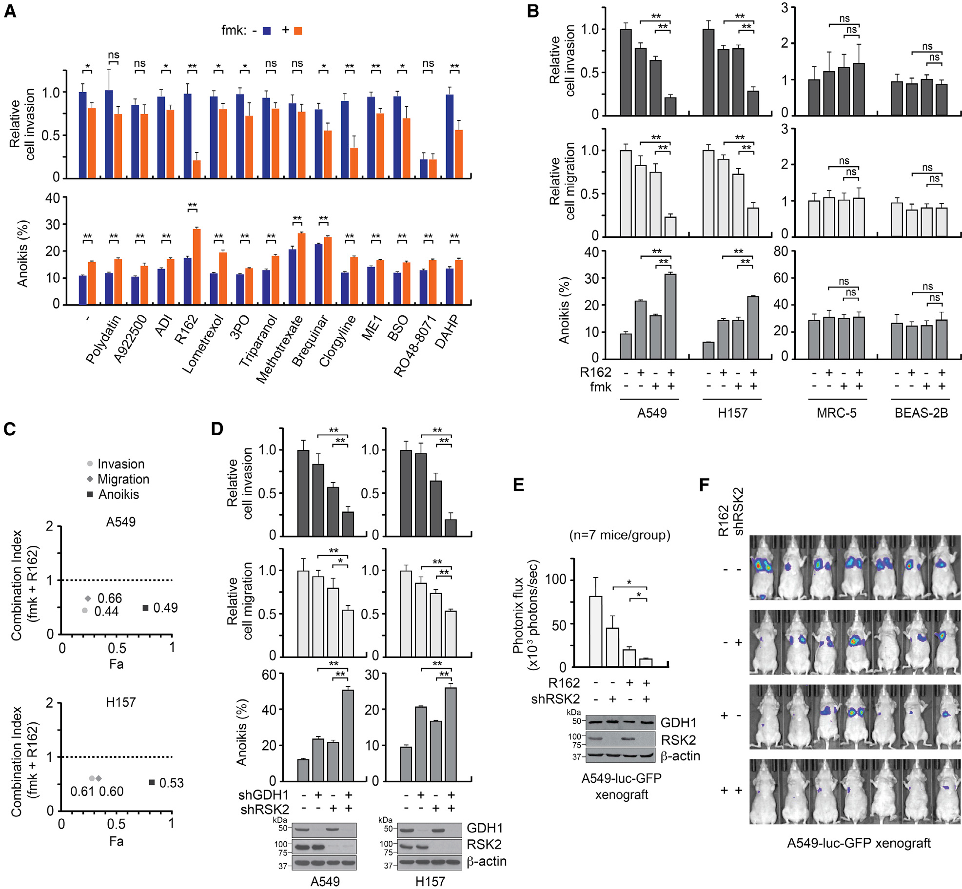 EGFR-phosphorylated GDH1 harmonizes with RSK2 to drive CREB activation ...