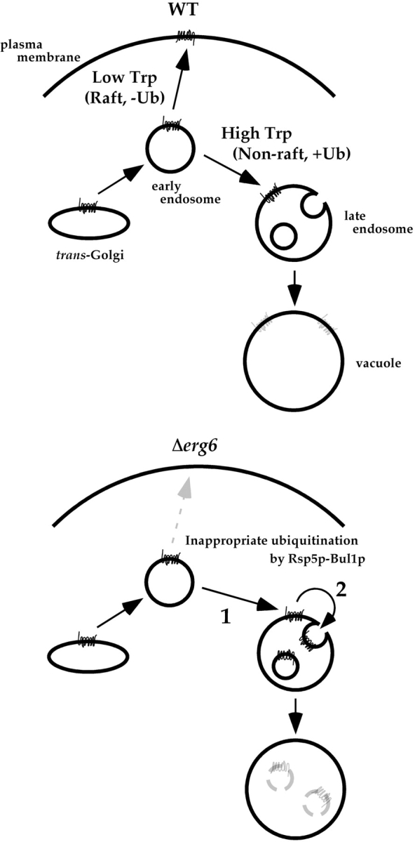 Figure 9.