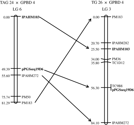 Fig. 4