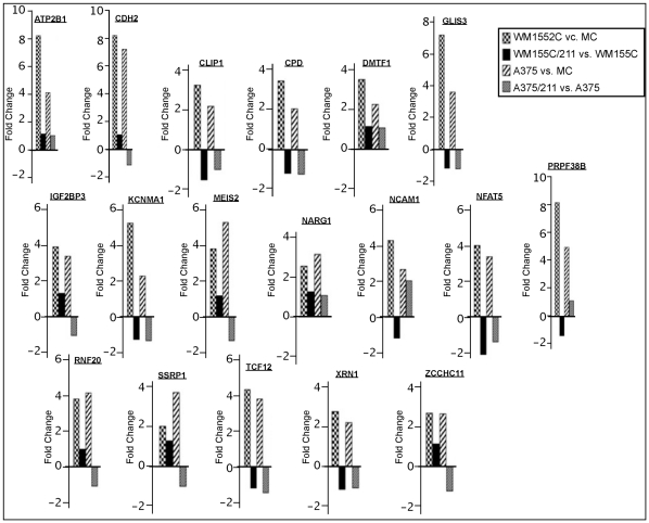 Figure 5