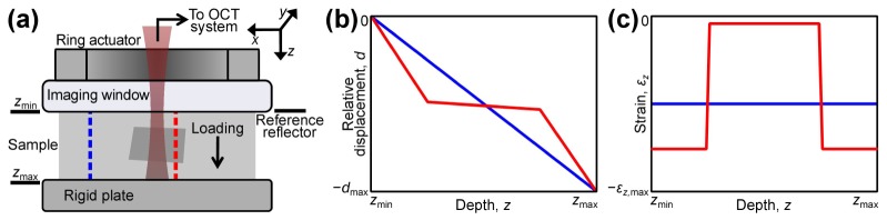 Fig. 5