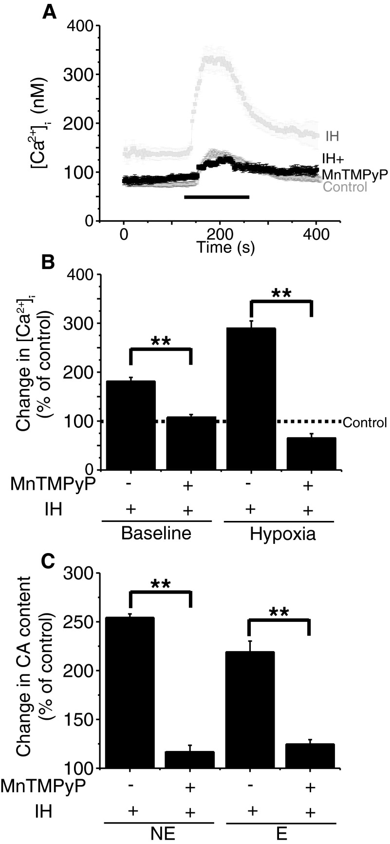 FIG. 6.