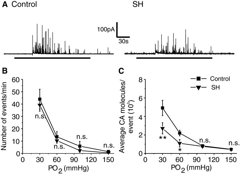 FIG. 8.