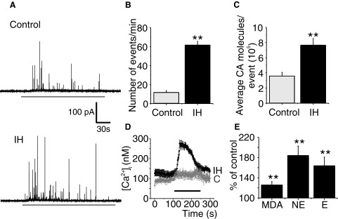 FIG. 7.