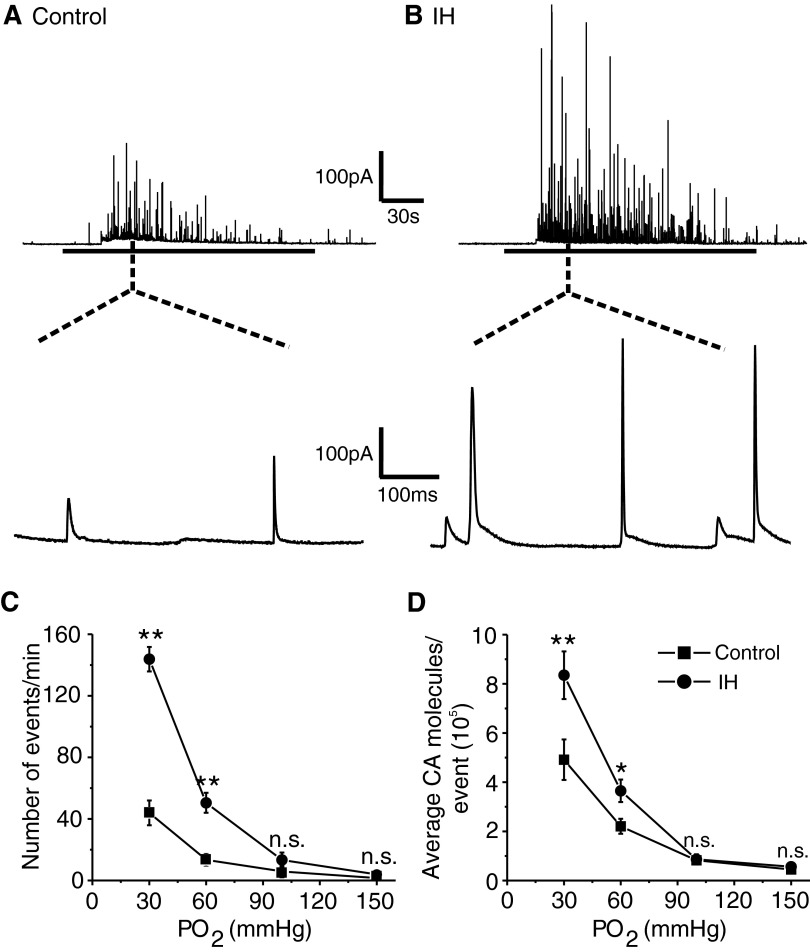 FIG. 1.