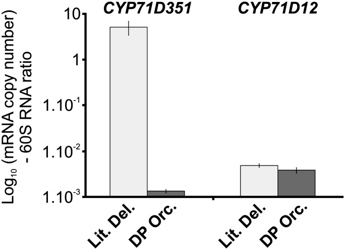 Figure 7.