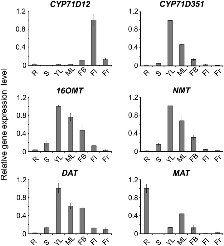 Figure 4.