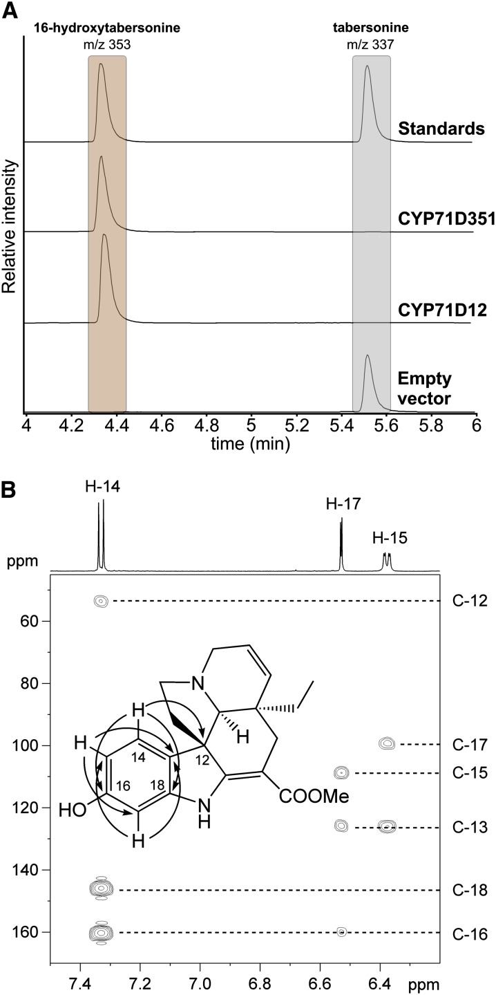 Figure 2.