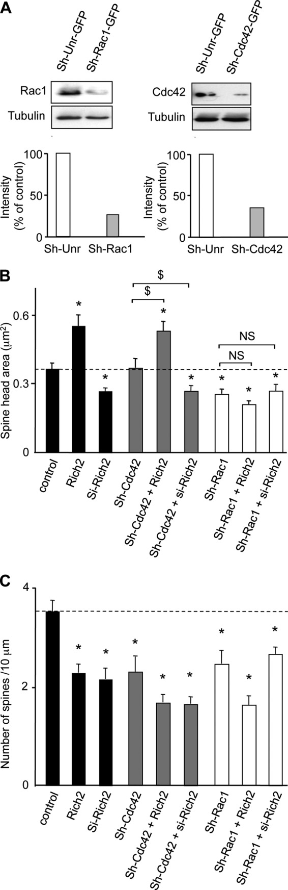 FIGURE 7.