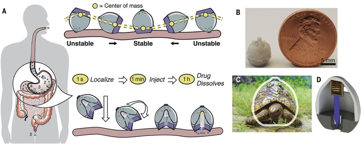 Figure 12