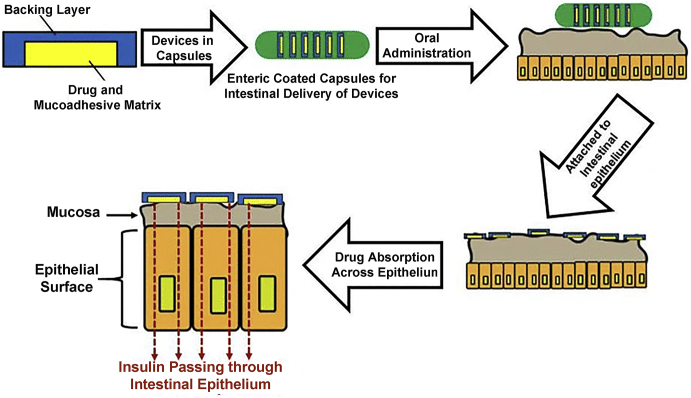 Figure 7