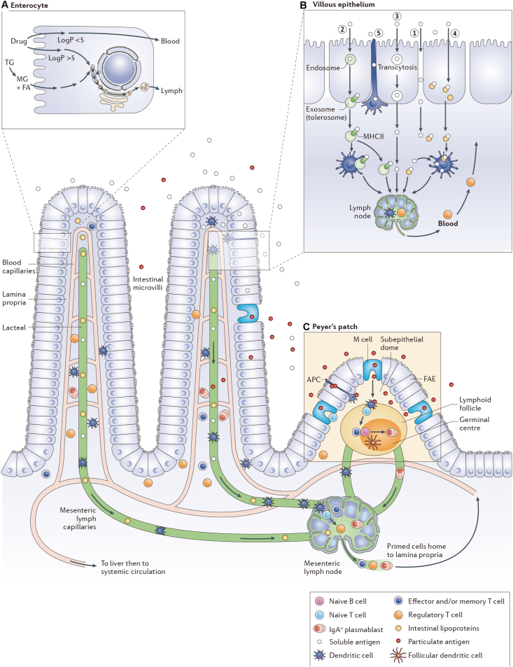 Figure 10