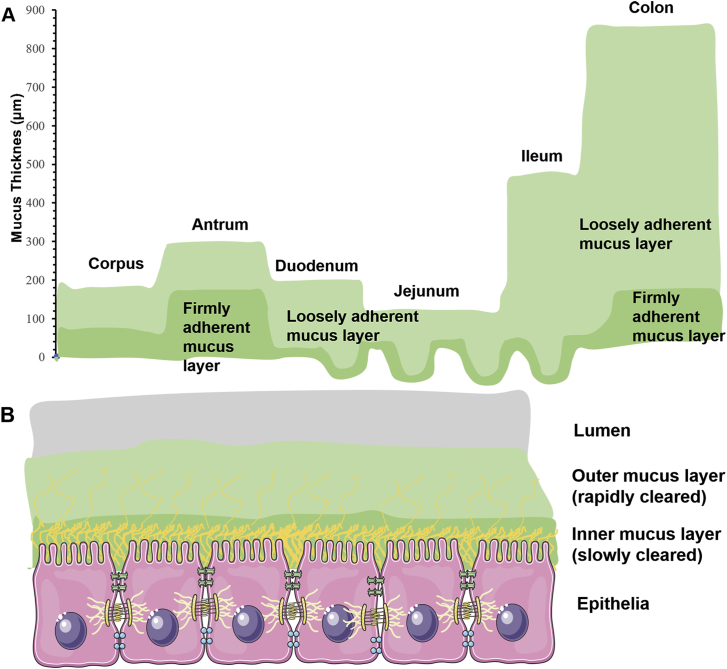 Figure 5