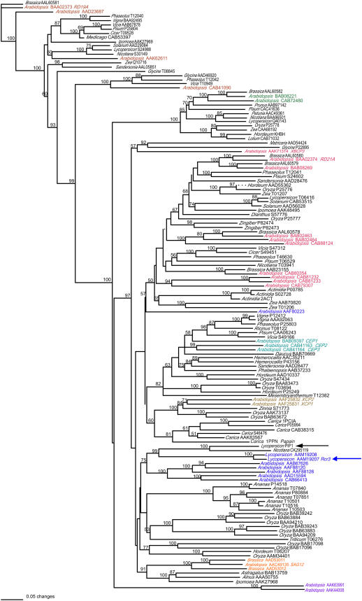 Figure 7.