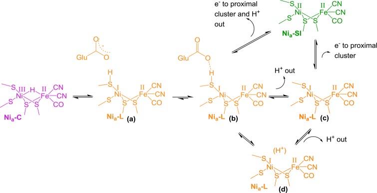 Scheme 2