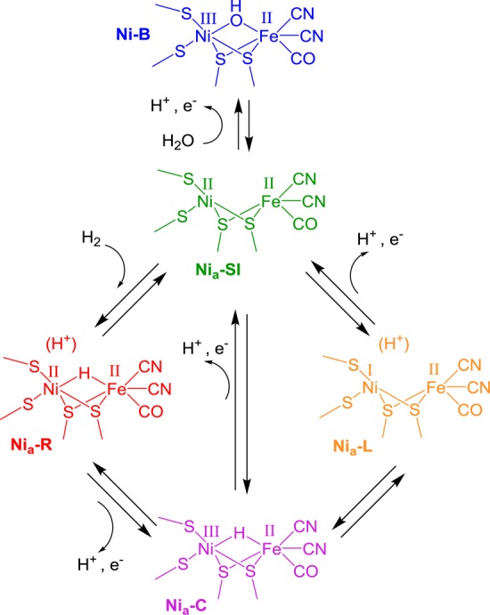 Scheme 1