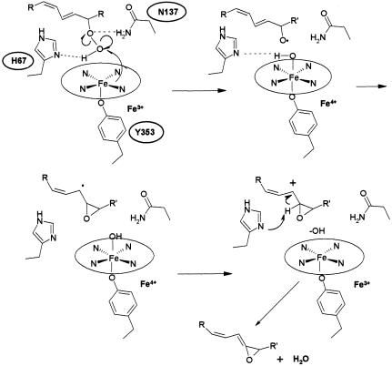 Fig. 4.