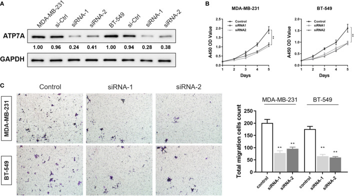 Figure 12