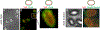 Fig 3.