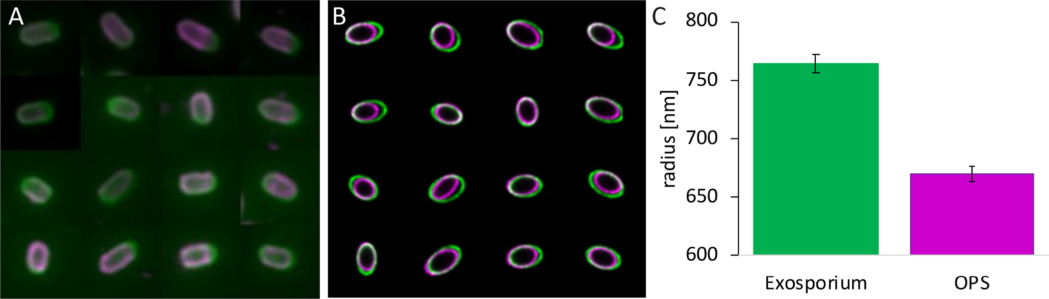 Fig 4.