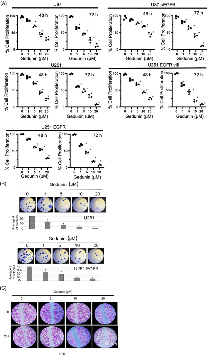 FIGURE 3