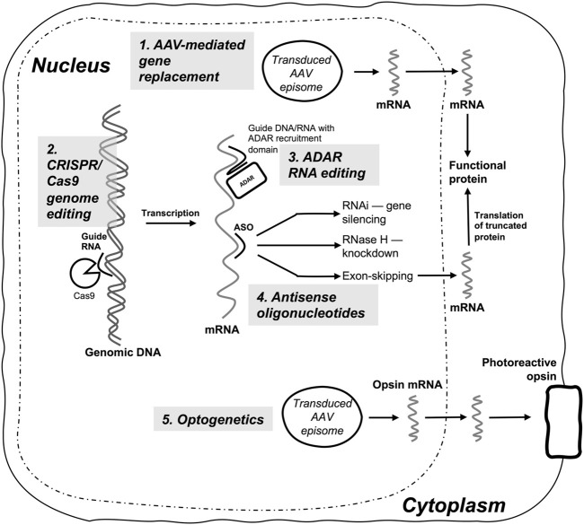 FIGURE 4