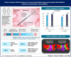 Graphical Abstract
