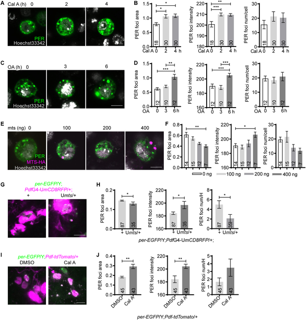 Fig. 2.