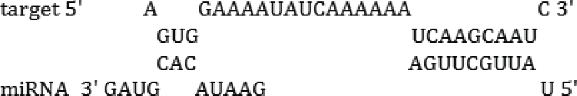 graphic file with name krnb-12-12-1101525-i002.gif