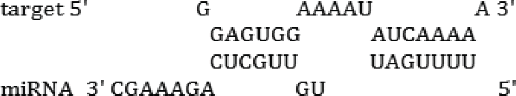 graphic file with name krnb-12-12-1101525-i003.gif