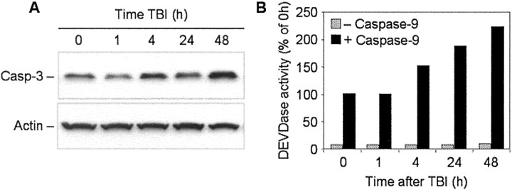 Fig. 6.