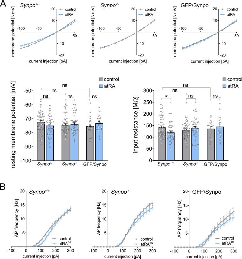 Figure 3—figure supplement 1.