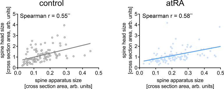 Figure 2—figure supplement 1.