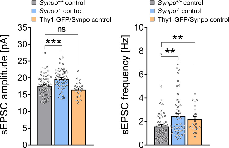 Figure 3—figure supplement 2.