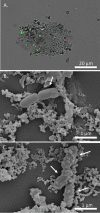 FIG 4