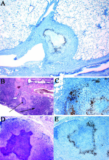 FIG. 5.