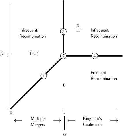 Figure 3.—