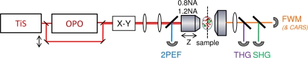 Fig. 2